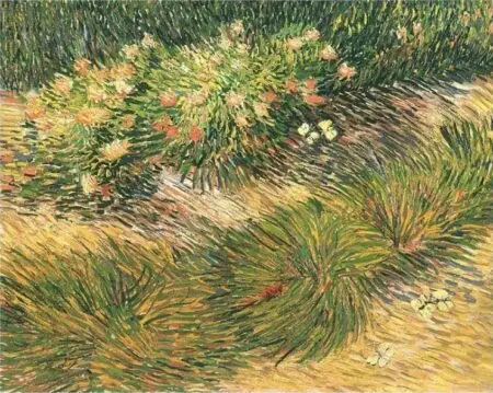 Gras und Schmetterlinge in einem Garten