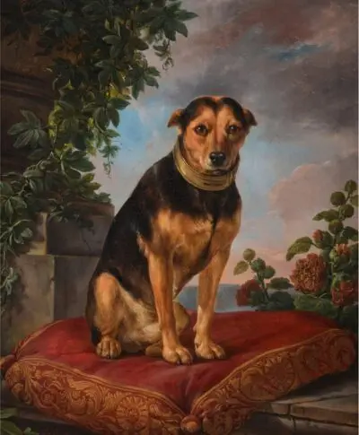 Ein Hund sitzt auf einem roten Kissen und sieht den Betrachter treu an