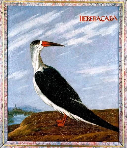 Albert Eckhout, Bild 25 "Iierebacaba"ca 1653 / 1659