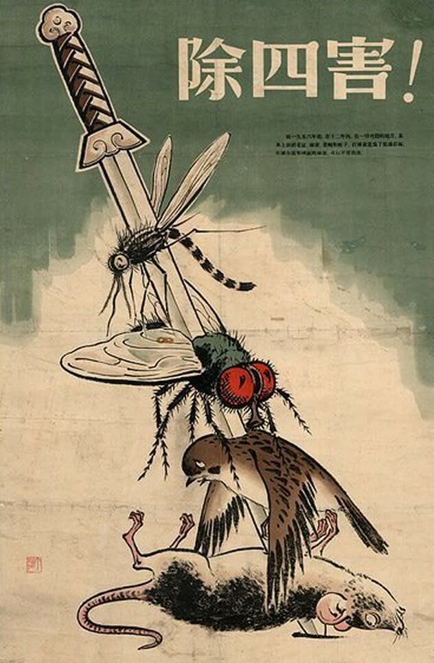 Bild von einem Schwert, das einen Mostiko, einen Spatz, eine Fliege und eine Ratte gleichzeitig aufspießt